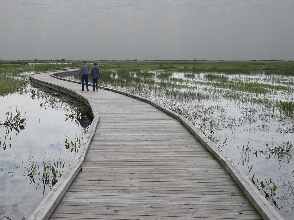 The older guys on the boardwalk