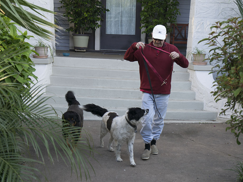 Owen and his doggies